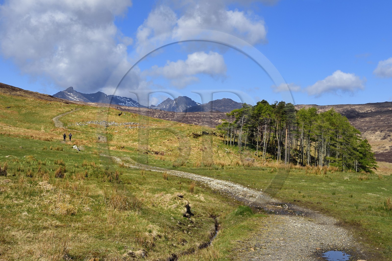 Royaume-Uni, Ecosse, région des Highlands, les Hébrides, Ile de Skye, randonnée vers les Black Cuillin Mountains sur le chemin de Camasunary