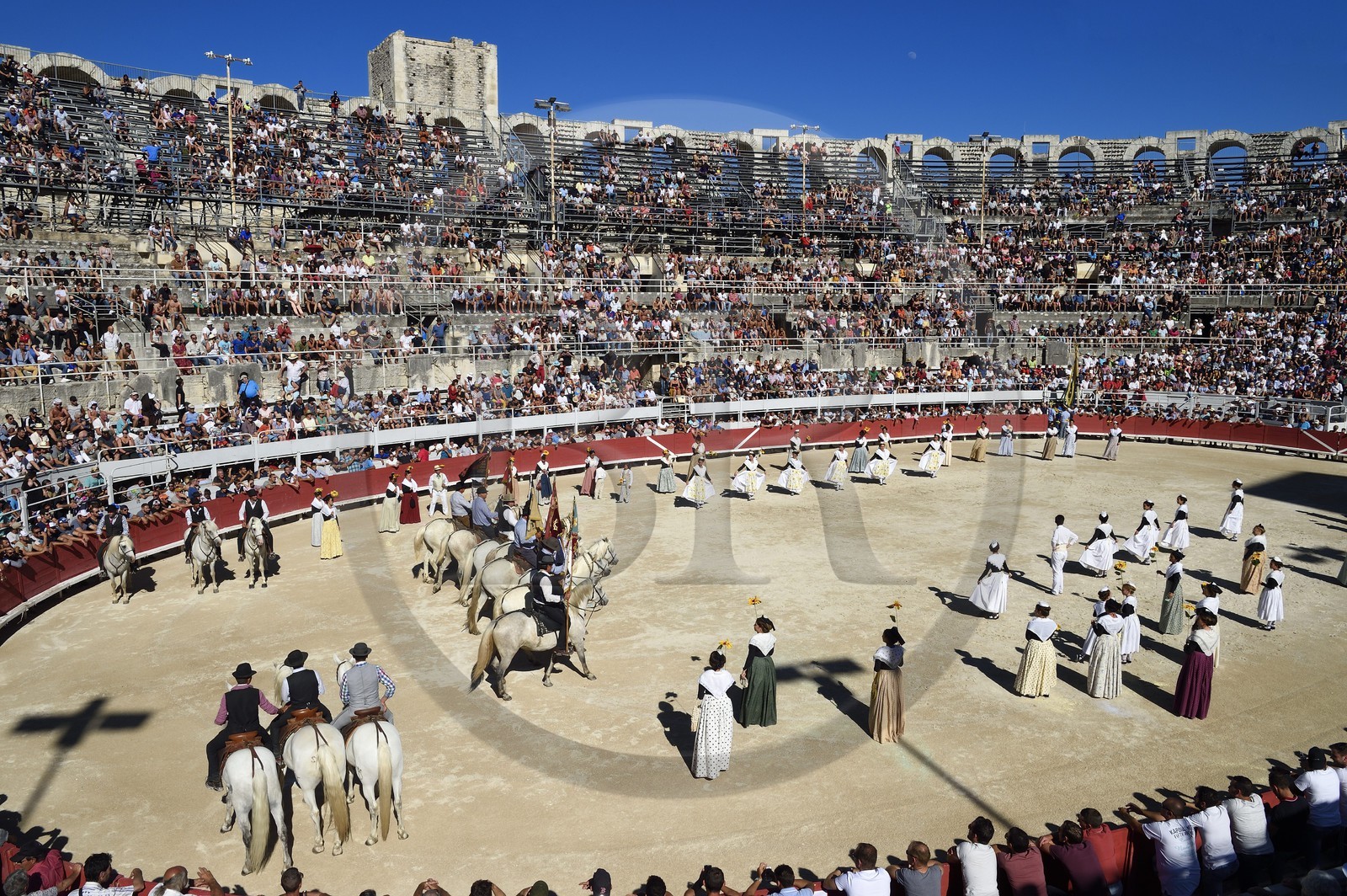 France, Bouches-du-Rhône (13), Arles, les Arènes, amphithéâtre romain de 80-90 après JC, classé Patrimoine Mondial de l'UNESCO, spectacle précédant la course camarguaise  de la Cocarde d'Or