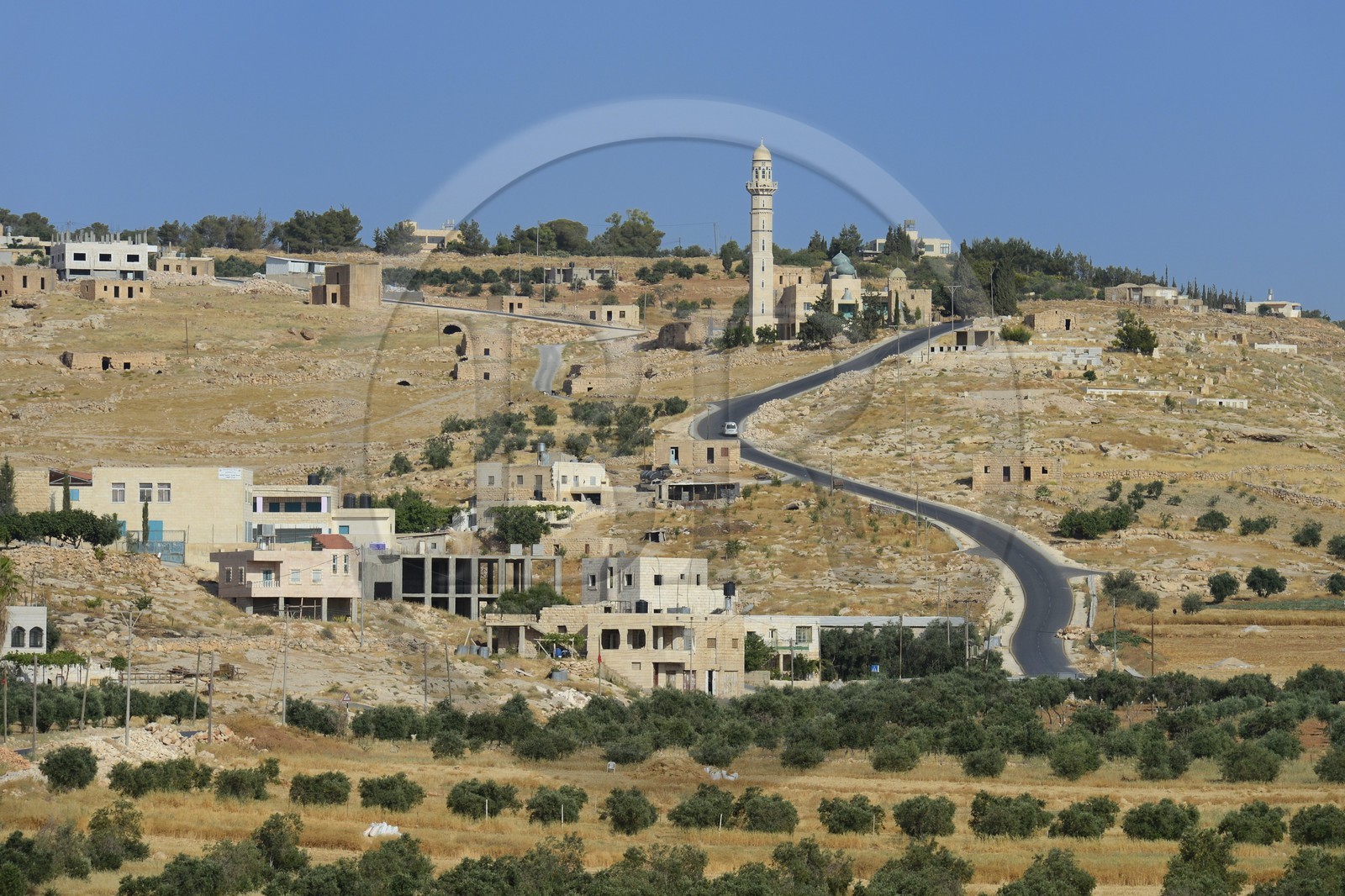 Israel, Cisjordanie, region de Bethléem, village de Bayt Ta'mar