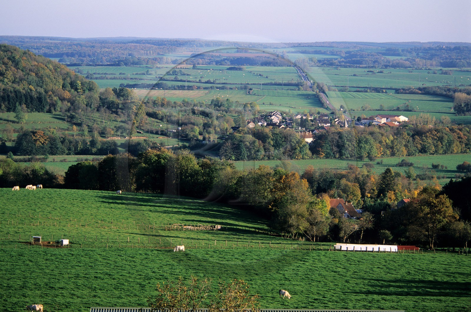 France, Haute-Marne (52), paysage typique du département