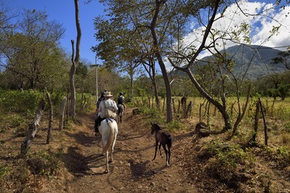 Nicaragua, Ile d'Ometepe sur le lac Nicaragua, cavaliers en randonnée sur les pentes du volcan Maderas