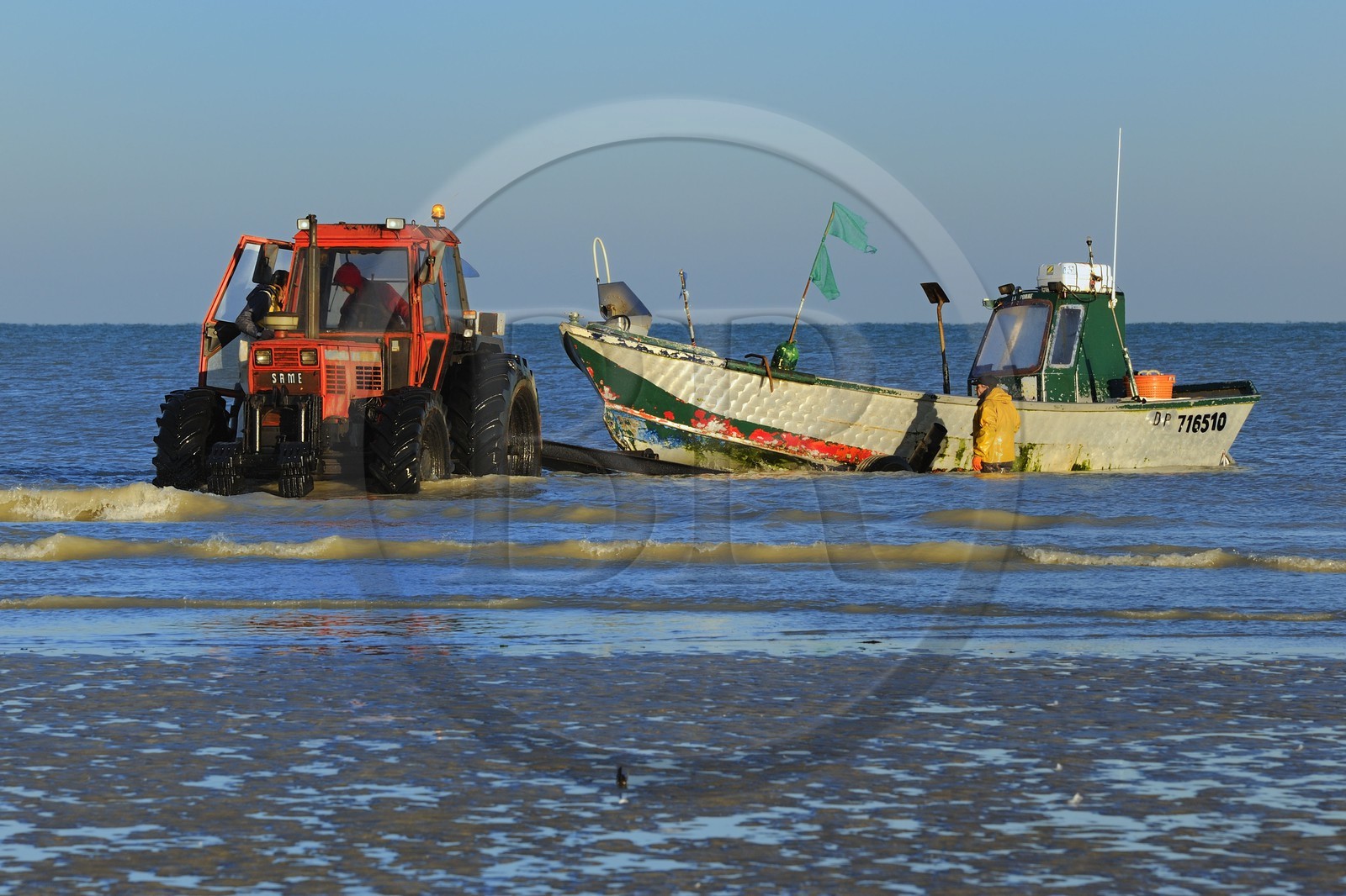 France, Seine-Maritime (76), Veules-les-Roses, départ à la pêche à bord du bateau La Pomme tiré par un tracteur sur la plage