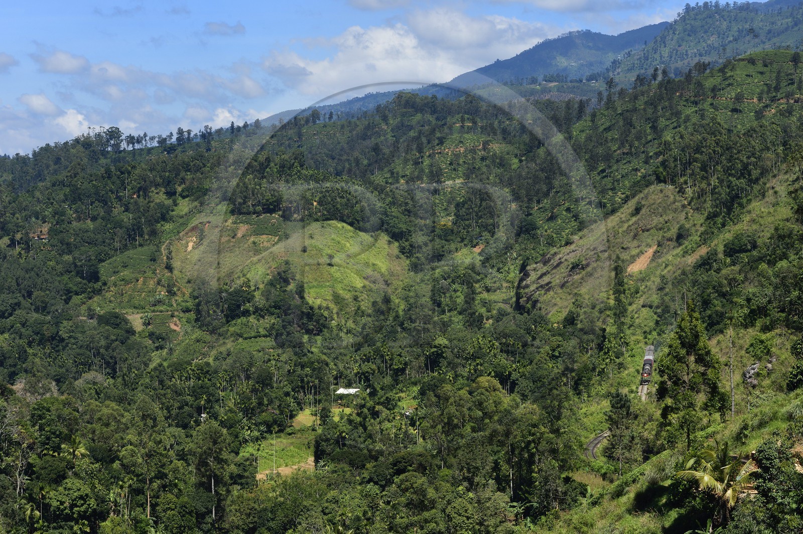 Sri Lanka, Uva Province, train on the railway track that goes through the tea growing hill country next to Ella (Badulla district)