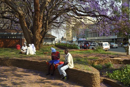 Zimbabwe, Harare, African Unity Square (anciennement Cecil Square), religieuses se reposant sous un jacaranda
