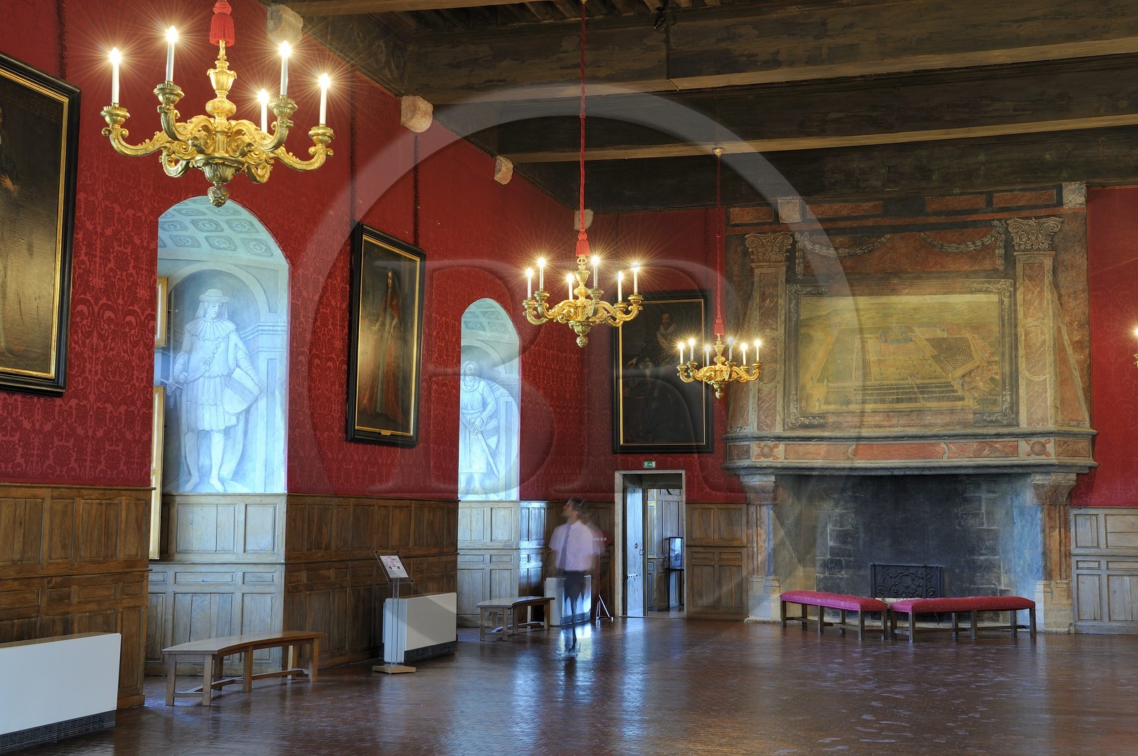 France, Loiret (45), Vallée de la Loire classée Patrimoine Mondial de l' UNESCO, Sully-sur-Loire, la salle d'honneur, mention obligatoire : Châteaux de Sully-sur-Loire, propriété du département du Loiret