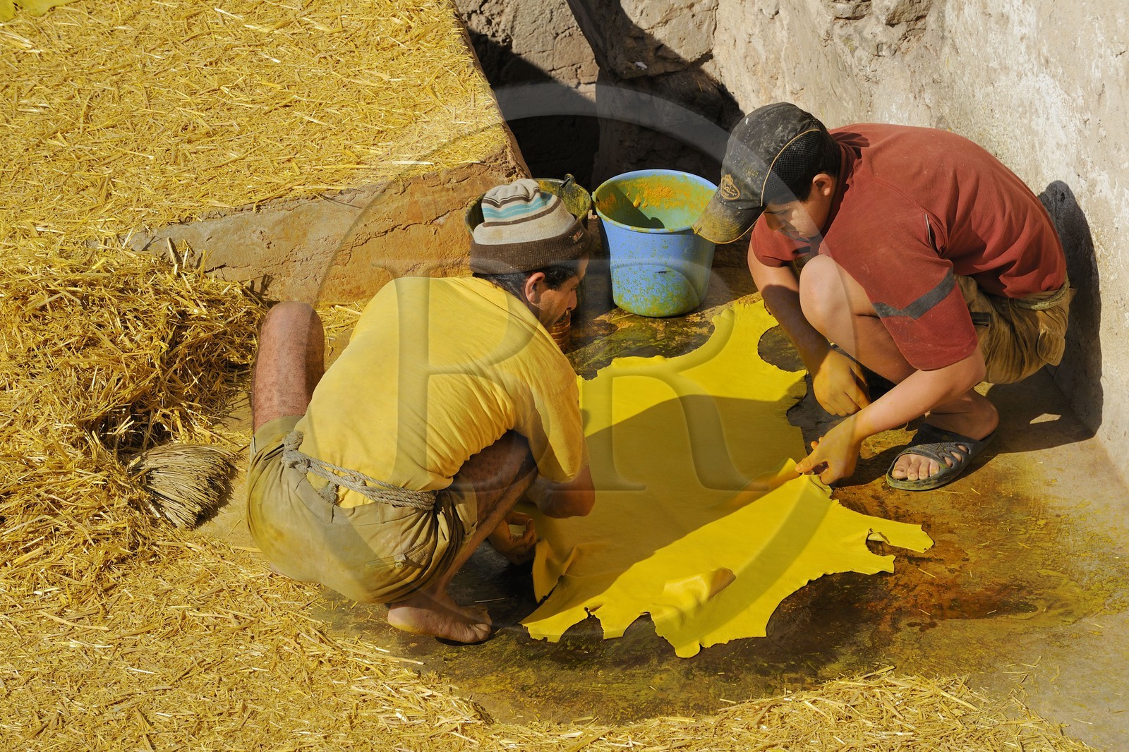 Maroc, Moyen Atlas, Fès, ville impériale, médina classée Patrimoine Mondial de l'UNESCO, Fès el Bali, quartier des tanneurs, Chouara