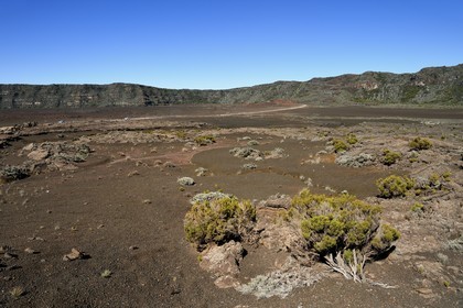 France, Ile de la Reunion, Parc National de la Réunion classé Patrimoine Mondial de l'UNESCO, volcan du Piton de la Fournaise, la Plaine des Sables