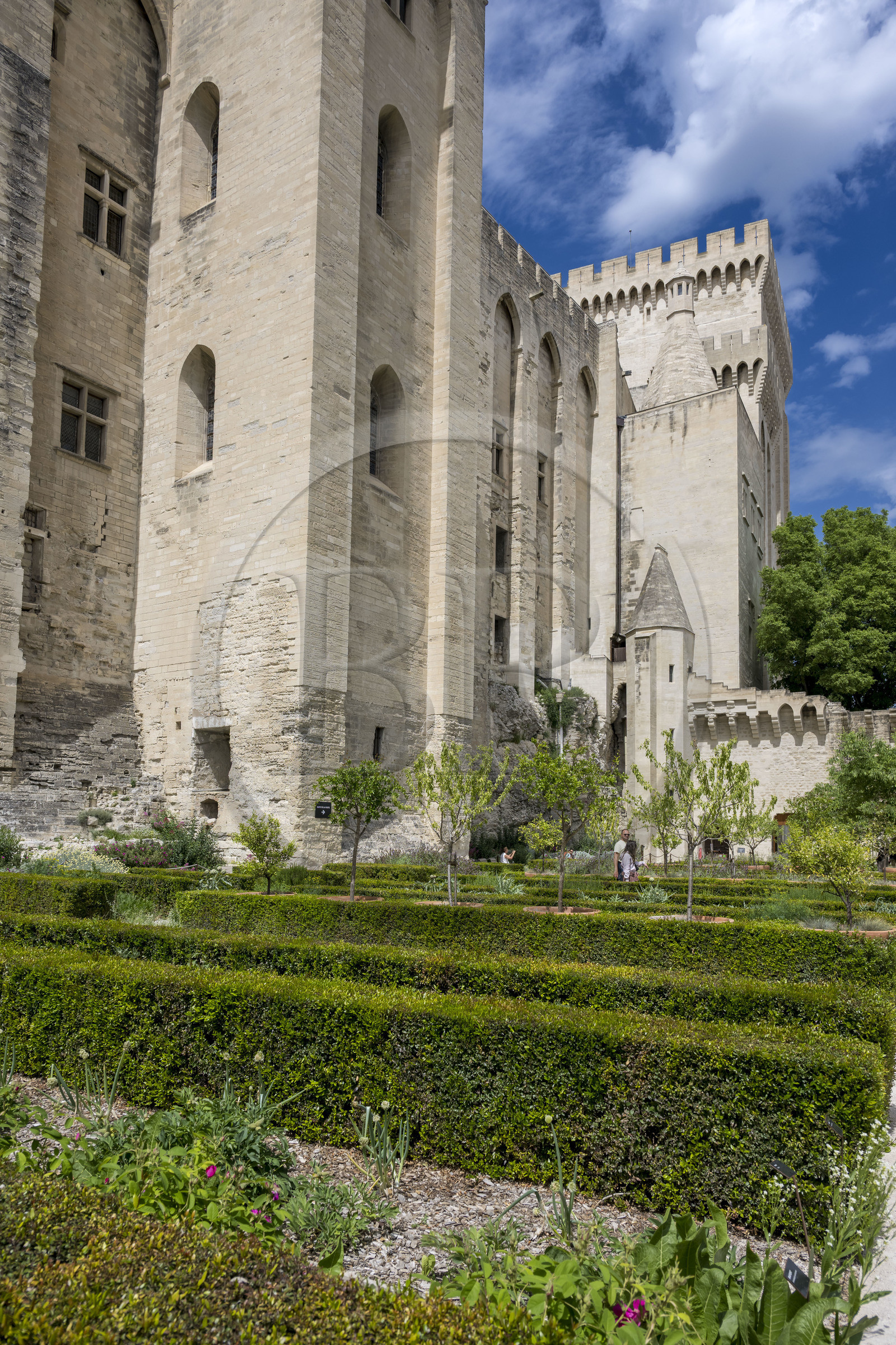 France, Vaucluse (84), Avignon, Palais des Papes classé Patrimoine mondial de l'UNESCO, la tour de Trouillas, la plus haute en arrière plan, la tour des Latrines ou de la Glacière et la tour des Cuisines avec sa cheminée géante donnent sur les jardins pontificaux à l'est