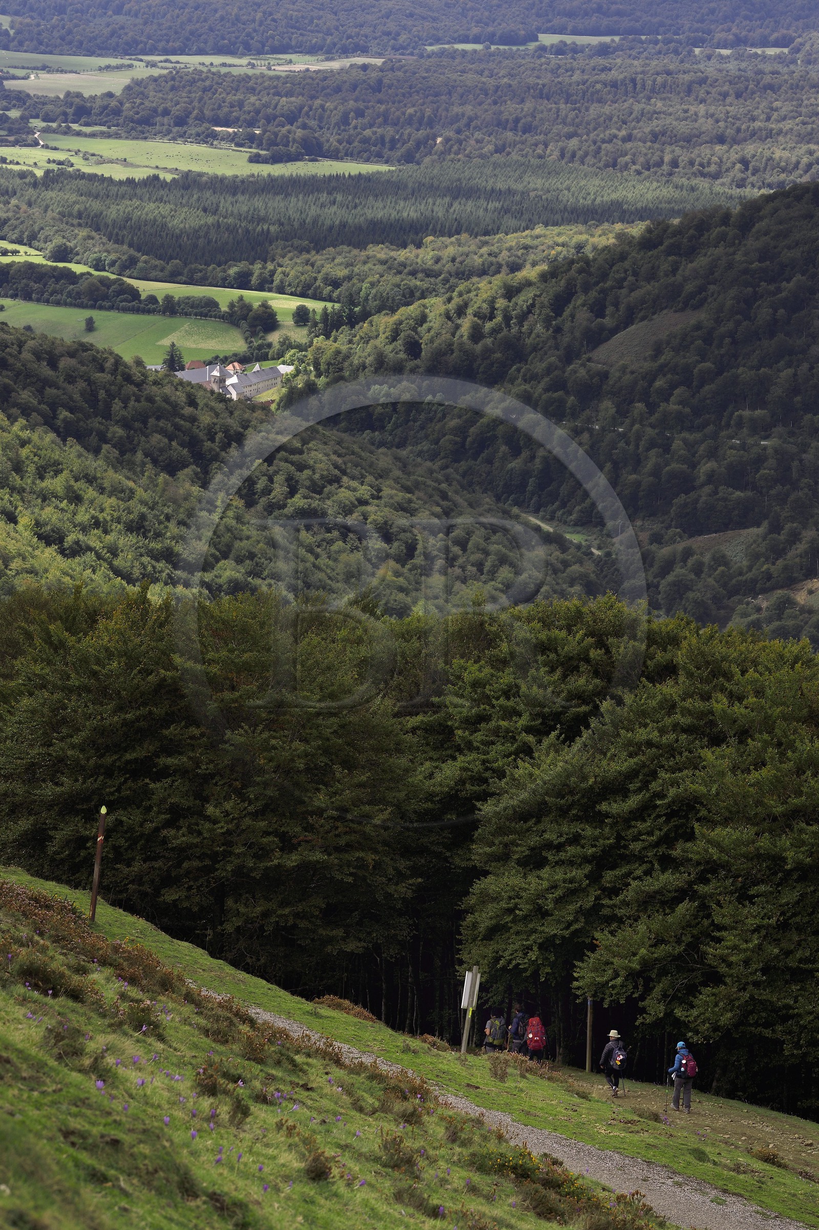Spain, Basque Country, Navarra, pilgrims on the Camino de Santiago (the Way of St. James) going down towards Roncevaux and the Royal Collegiate Church of Roncesvalles in the background
