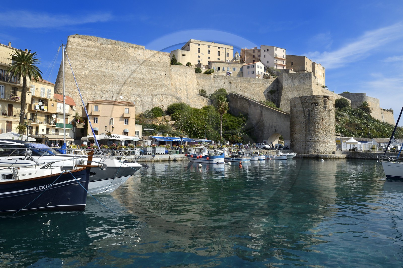 France, Haute-Corse (2B), Calvi, le vieux port dominé par la citadelle