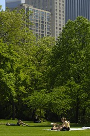 Etats-Unis, New York, Central park, farniente et sport le dimanche sur la pelouse The Sheep Meadow