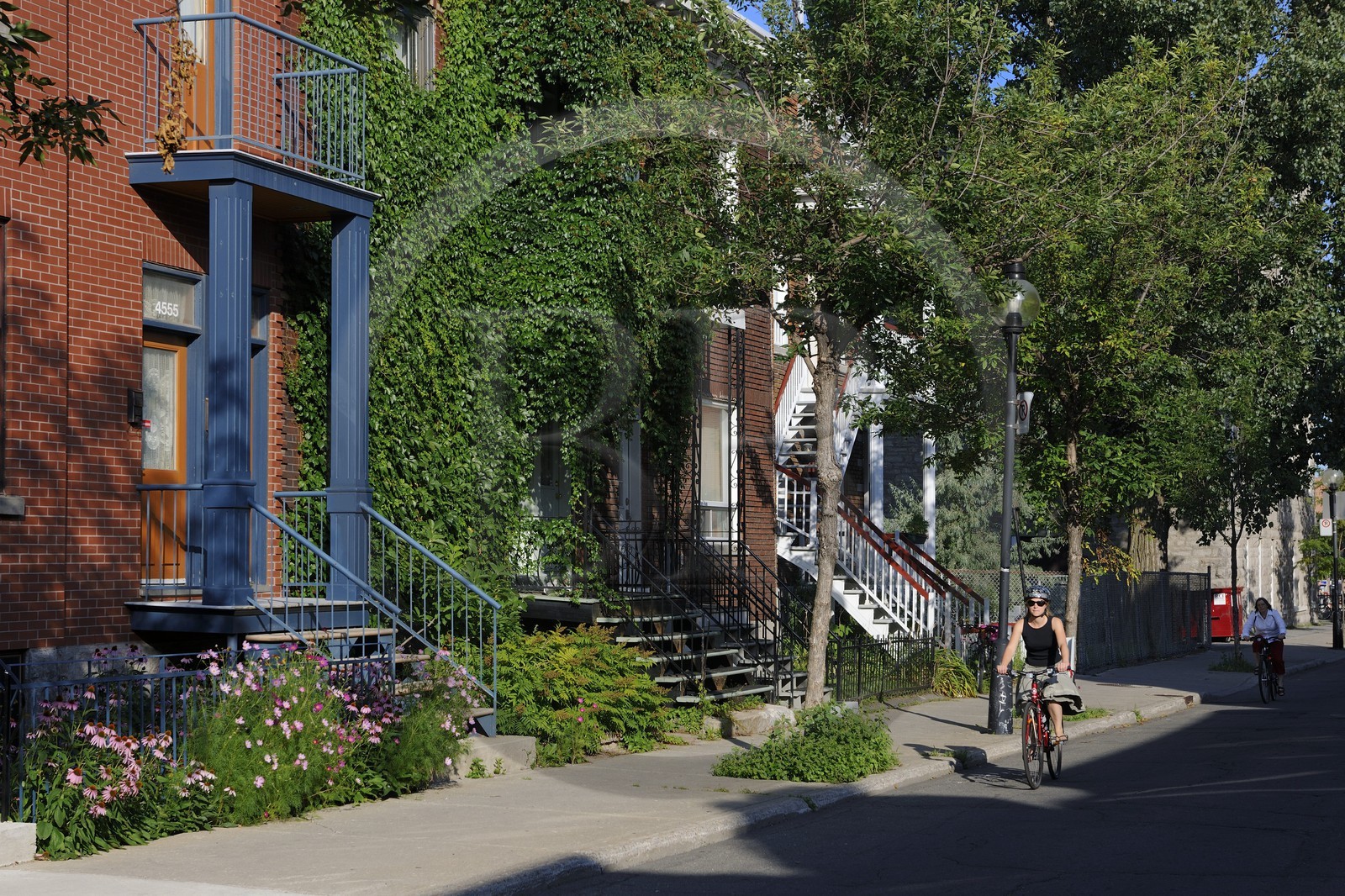 Canada, province de Québec, Montréal, quartier du Plateau Mont Royal