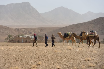 Iran, Province d'Ispahan, désert du Dasht-e Kavir, le désert vers l'oasis d'Arousan dans la région de Khur et Biabanak