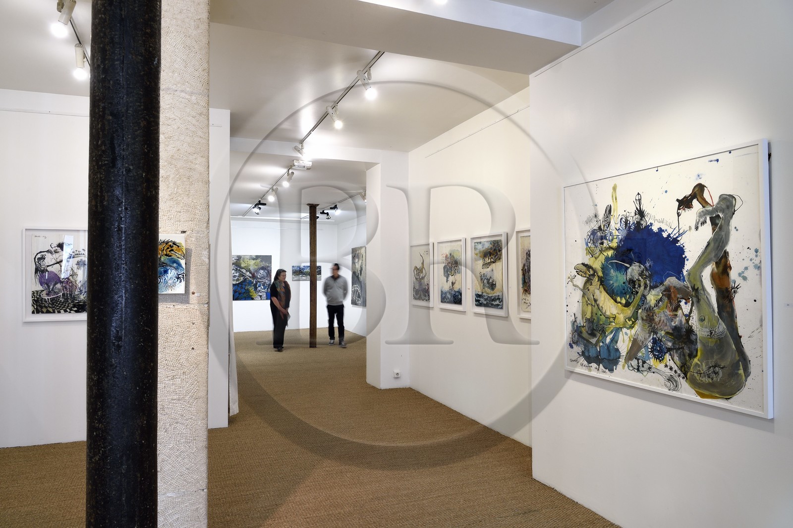 France, Paris, Galerie Schwab Beaubourg, galerie d'Art contemporain, exposition de l'artiste Emmanuelle Renard