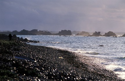 France, Côtes-d'Armor (22), la Presqu'île Sauvage dans la région de Tréguier