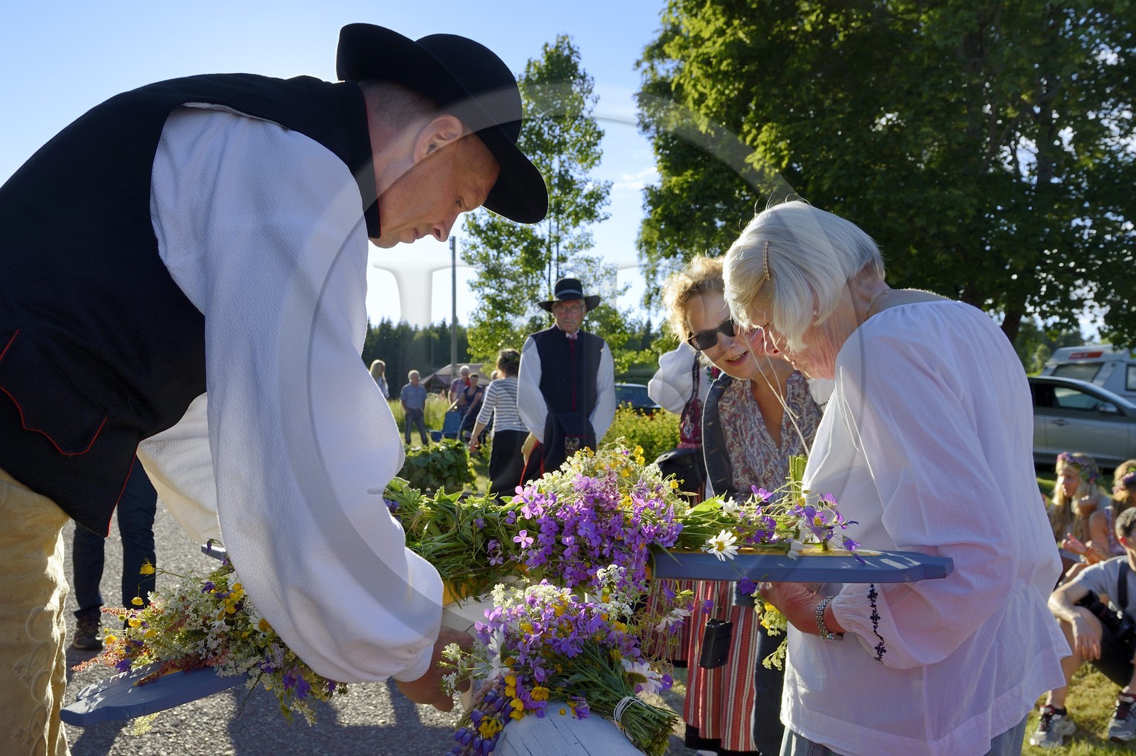 Suède, comté de Dalécarlie, région de Leksand, célébrations du solstice d'été dans le petit hameau de Hjulbäck, préparation de l'arbre de mai