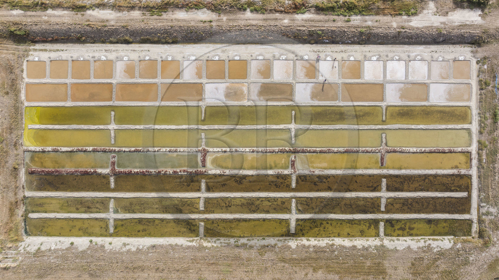 France, Charente-Maritime (17), Port-des-Barques, Ile Madame, la Ferme Aquacole de l'Ile Madame, Jean Philippe et Gaelle Mineau récoltent le sel de leur saline (vue aérienne)