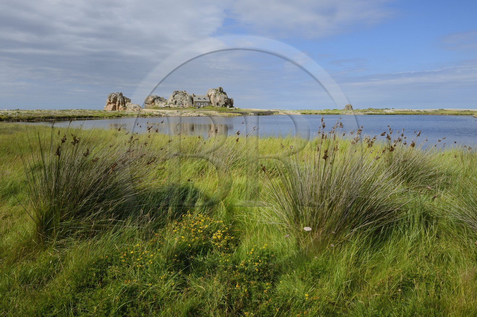 France, Côtes-d'Armor (22), Côte d'Ajoncs, Plougrescant, Anse de Pors Scaff, la petite maison de Castel Meur, toute représentation commerciale de cette maison est interdite