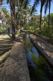 Sultanat d'Oman, gouvernorat de Al-Batina, Nakhal, canaux d'irrigation dans la palmeraie