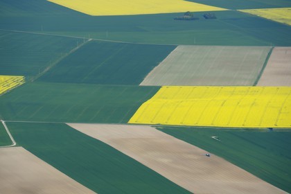 France, Val-d'Oise, field of rape in blossom (aerial view)