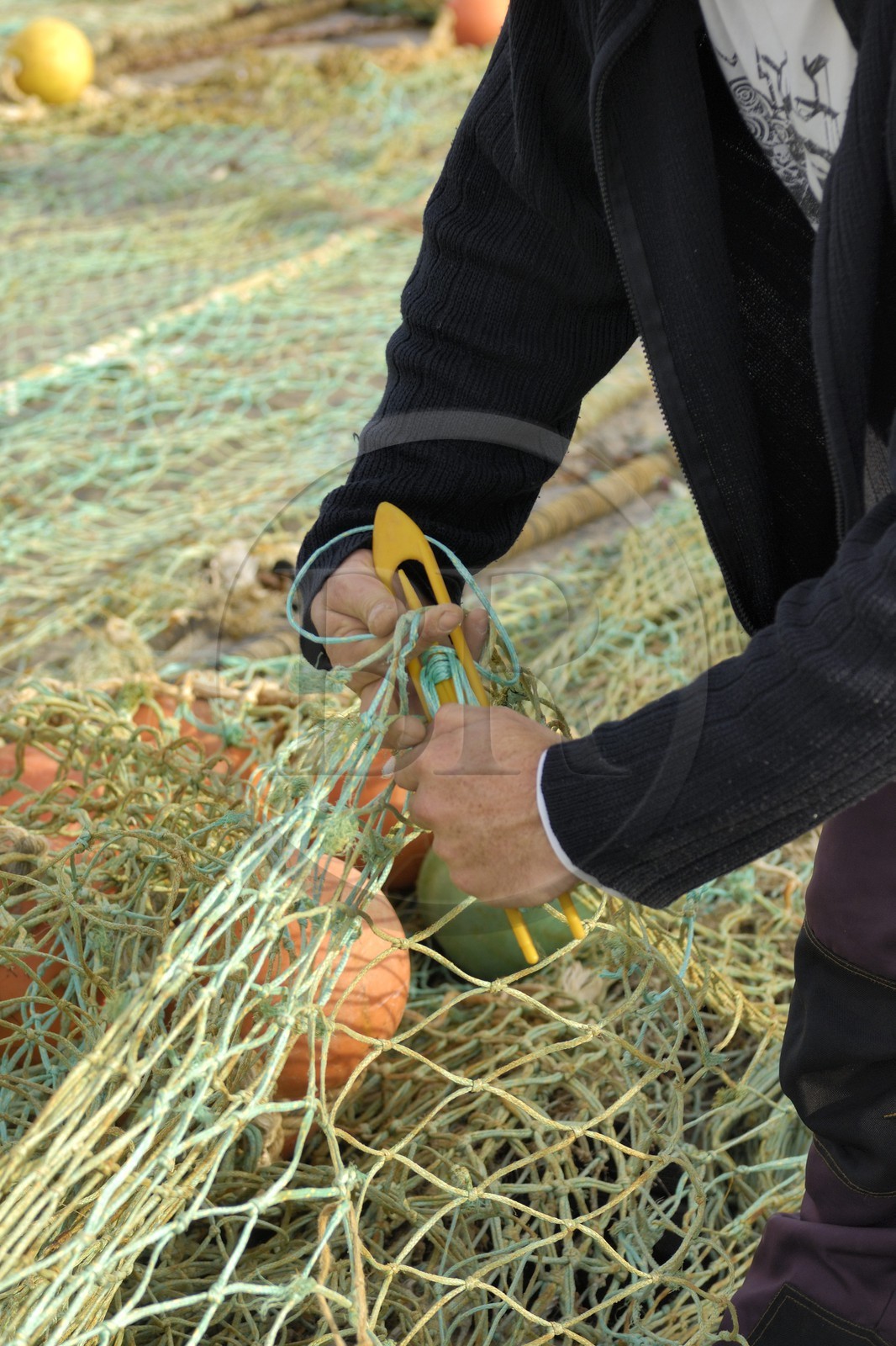 France, Charente-Maritime (17), Ile d'Oléron, port de la Cotinière, réparation des filets