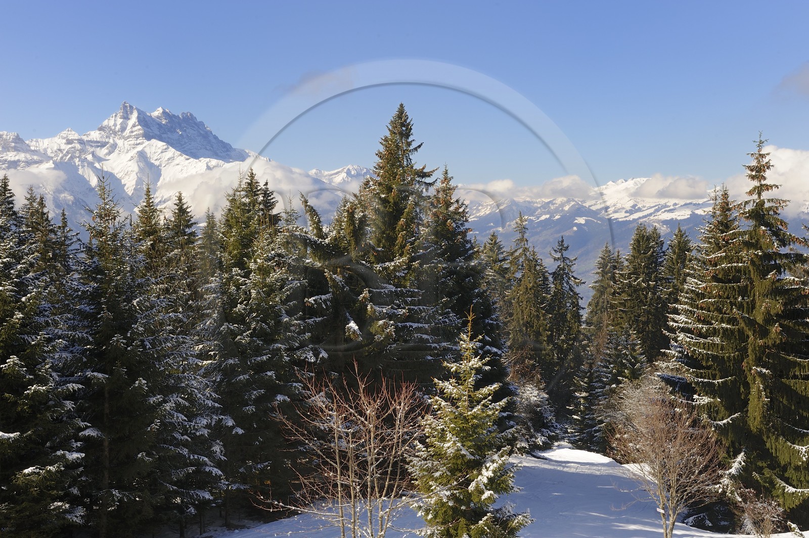 Suisse, Canton de Vaud, Villars sur Ollon