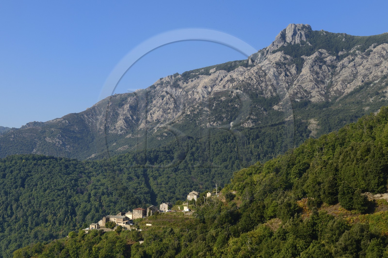 France, Haute-Corse (2B), Castagniccia, le village de Poggio di Croce (U Poghju di Croce) au pied du mont San Petrone