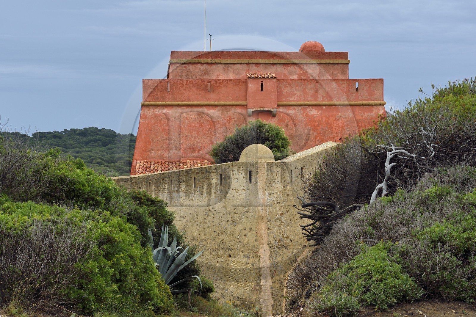 France, Var (83), Iles d'Hyères, parc national de Port Cros, Ile de Porquerolles, fort privé et restauré du Grand Langoustier