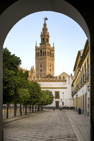 Espagne, Andalousie, Séville, quartier de Santa Cruz, la Giralda, ancien minaret almohade de la Grande Mosquée reconverti en clocher de la cathédrale, classé Patrimoine Mondial de l'UNESCO, depuis la Plaza del Patio de Banderas devant l'Alcazar