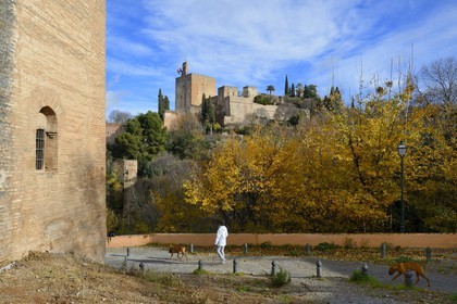 Espagne, Andalousie, Grenade, l'Alhambra, classé Patrimoine Mondial de l'UNESCO, l'Alcazaba