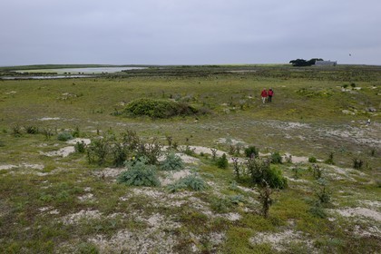 France, Finistère (29), La Foret Fouesnant, archipel des Glénan, Ile du Loc'h est la propriété de la famille Bolloré et la seule ferme