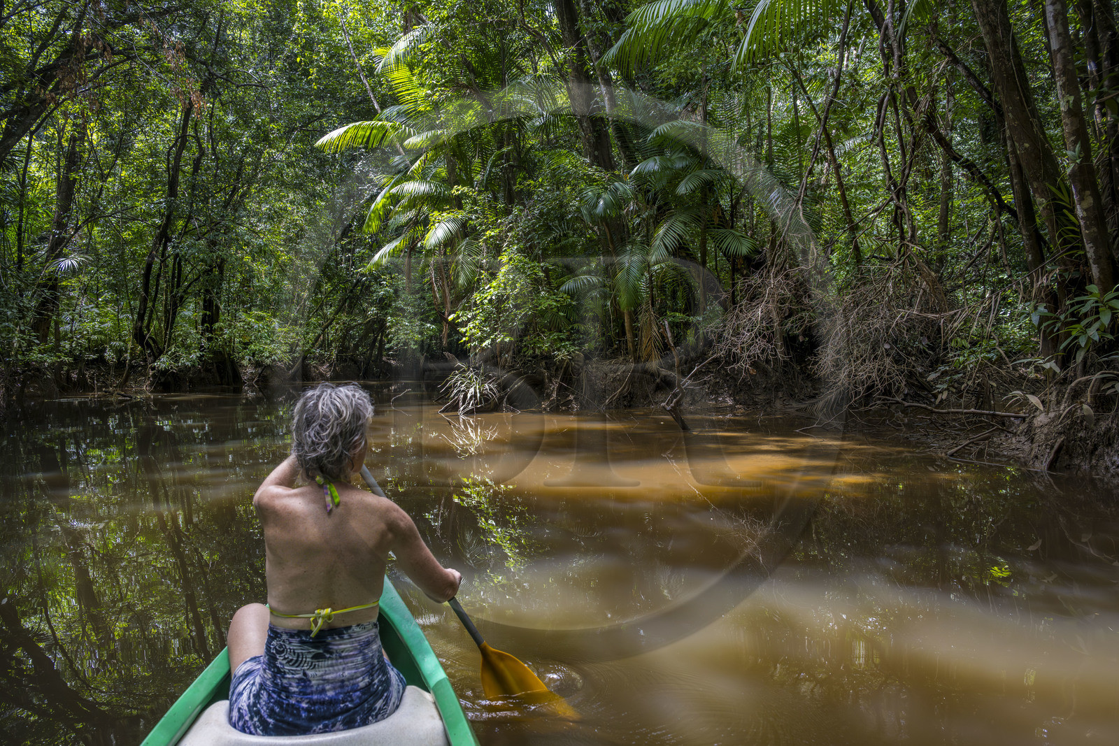 France, Guyane, Kourou, camp Maripas dans la forêt tropicale, découverte en canoé d'une crique, petite rivière, affluent du fleuve Kourou