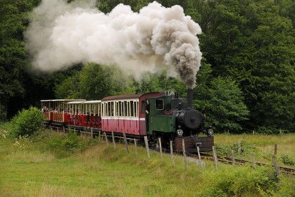 France, Moselle, Abreschviller, small train formerly forest train