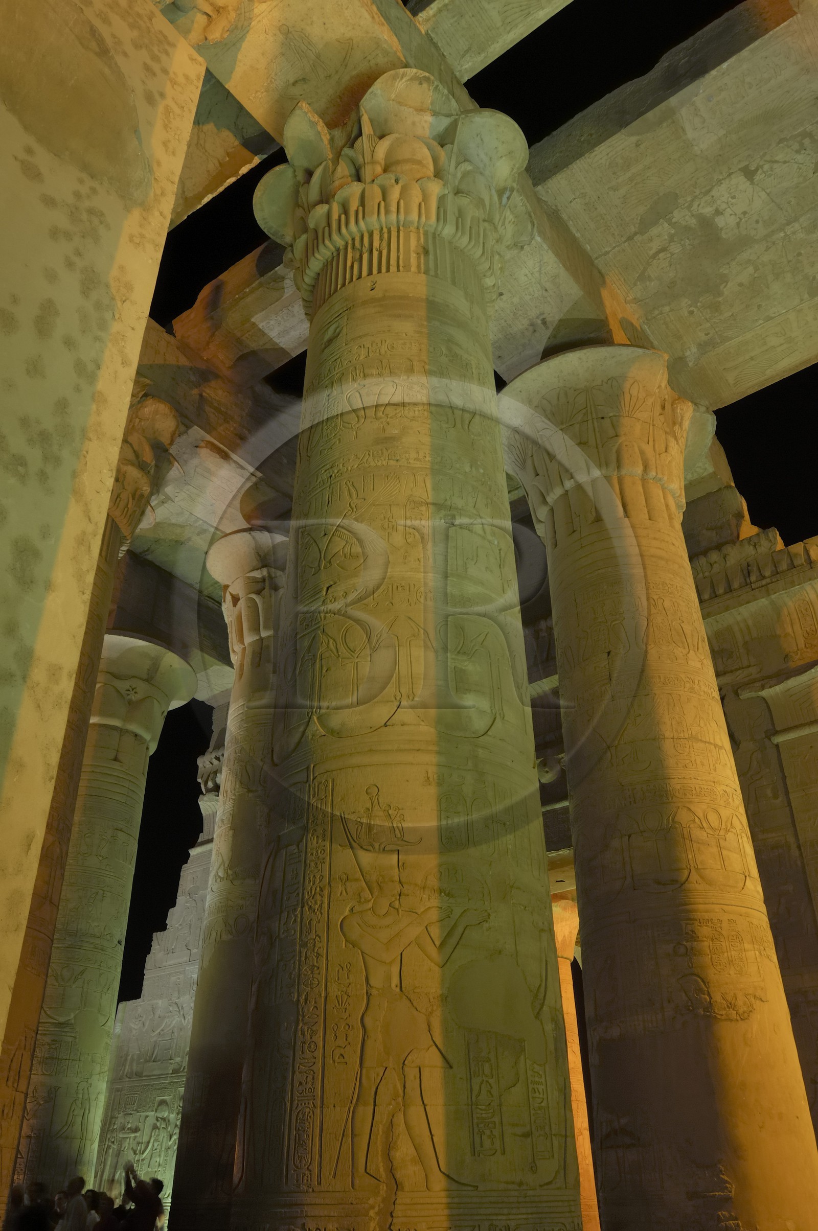 Egypte, Haute Egypte, vallée du Nil, temple de Kom Ombo dédié au dieu Sobek à tête de crocodile