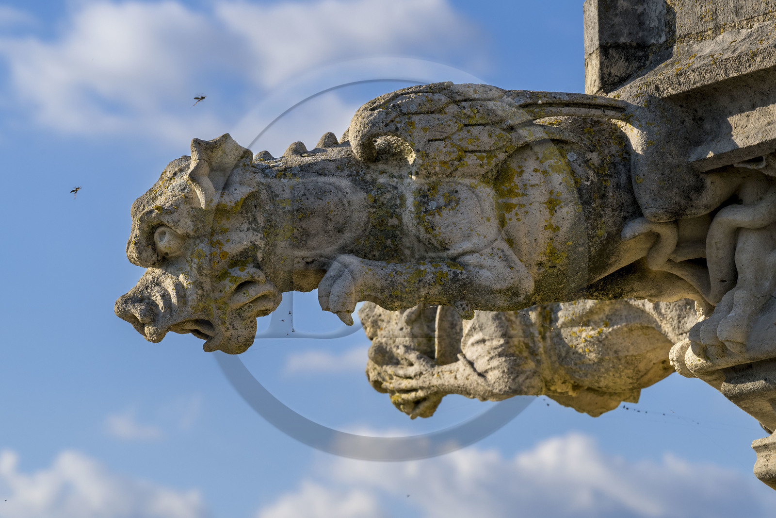 France, Nièvre (58), Nevers, cathédrale Saint-Cyr-et-Sainte-Julitte, gargouilles du XVIe siècle en haut de la tour Bohier de la Cathédrale