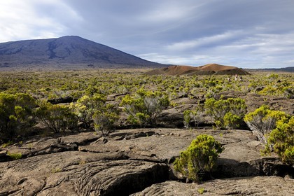 France, île de la Réunion, volcan du Piton de la Fournaise, classé Patrimoine Mondial de l'UNESCO, le cratère Formica Léo au premier plan et le cratère Dolomieu dans l'Enclos