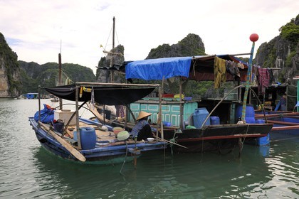 Vietnam, province de Quang Ninh, la Baie d'Halong classée Patrimoine Mondial de l'UNESCO, village flottant de pêcheurs de Vong Vieng