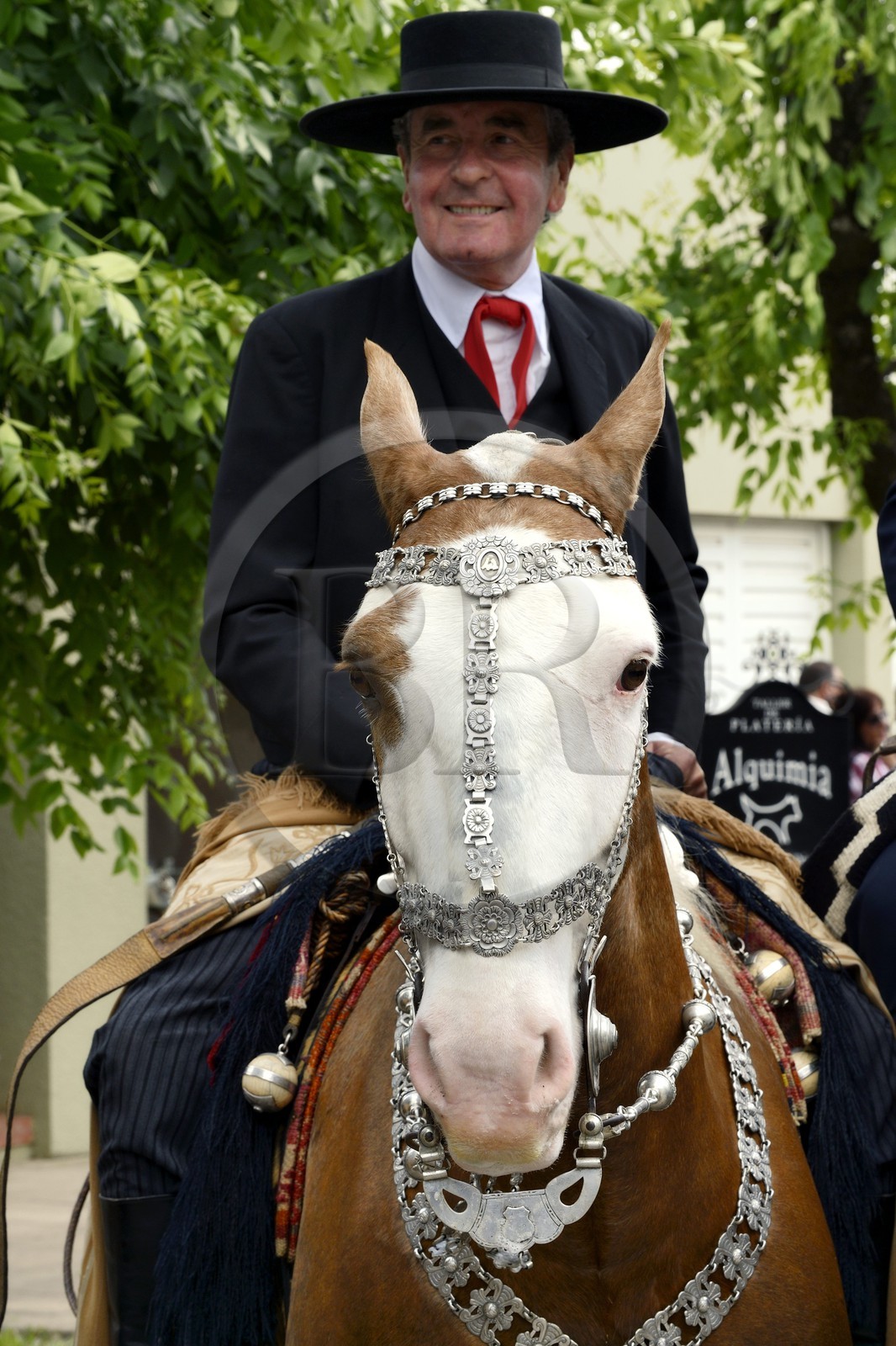 Argentine, province de Buenos Aires, San Antonio de Areco, fête du Jour de la Tradition (Dia de la Tradicion), travail d'orfèvre sur un harnais en argent utilisé lors de grandes occasions par un     estanciero (gaucho propriétaire d'un ranch)