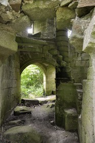 France, Finistère (29), Pont-Aven, Nizon, chateau de Rustephan, ancien manoir du XVe et du XVIe siècle en ruine
