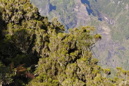 France, île de la Réunion, cirque de Salazie, classé Patrimoine Mondial de l'UNESCO