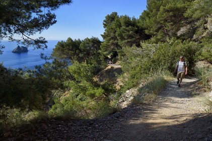 France, Var (83), La Seyne-sur-Mer, randonnée dans le massif du Cap Sicié le long du chemin du Joncquet en contrebas de la Corniche Merveilleuse, le Rocher des Deux Frères
