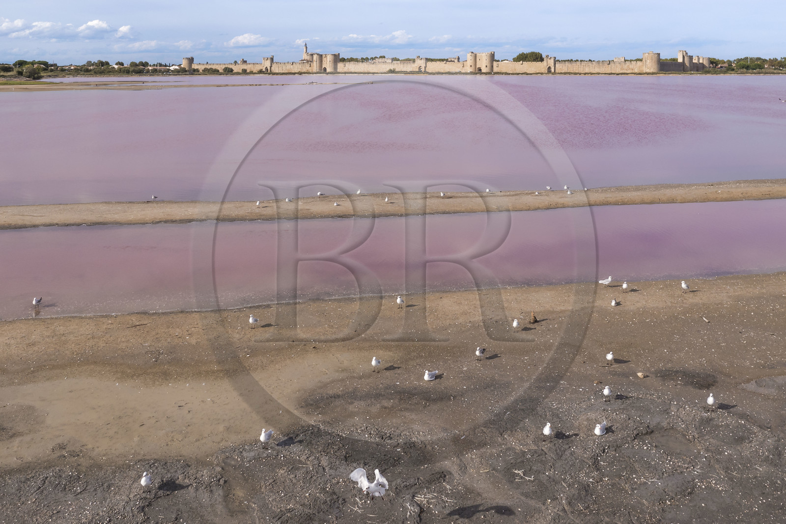 France, Gard (30), Aigues-Mortes, la ville médiévale entourée par ses remparts en bordure des marais salants (Salins du Midi) (vue aérienne)