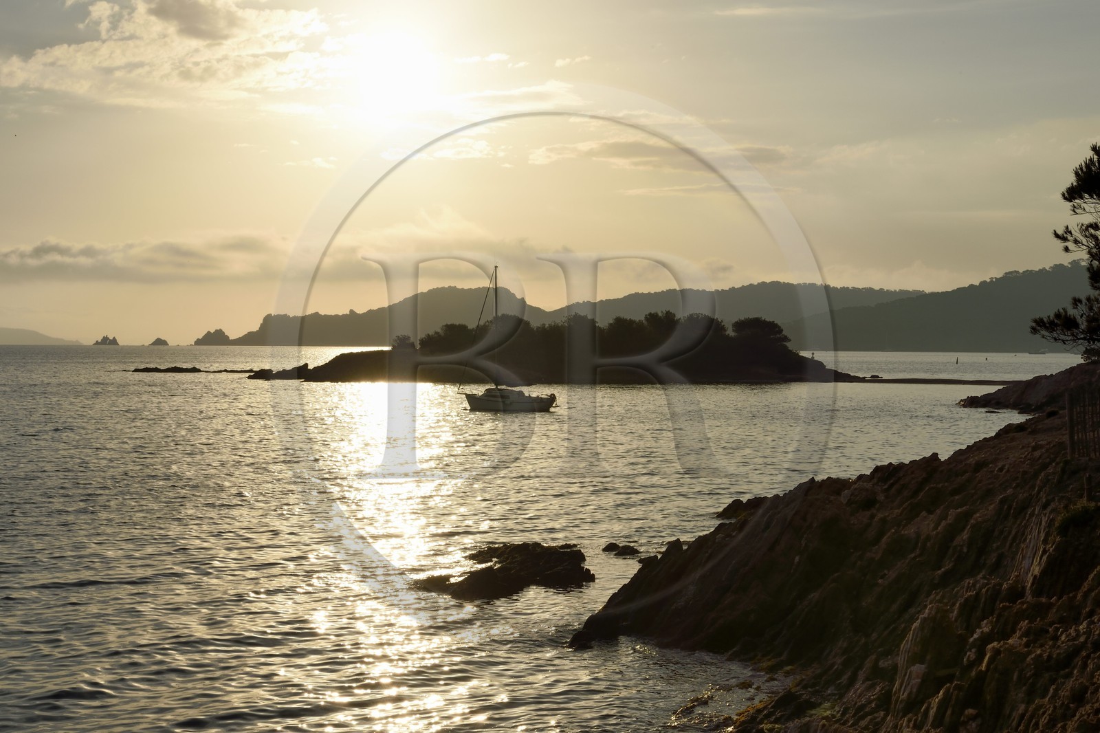 France, Var (83), Iles d'Hyères, parc national de Port Cros, Ile de Porquerolles, Anse du bon Renaud