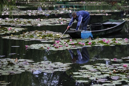 France, Eure (27), Giverny, le jardin de Claude Monet, le Jardin d'Eau