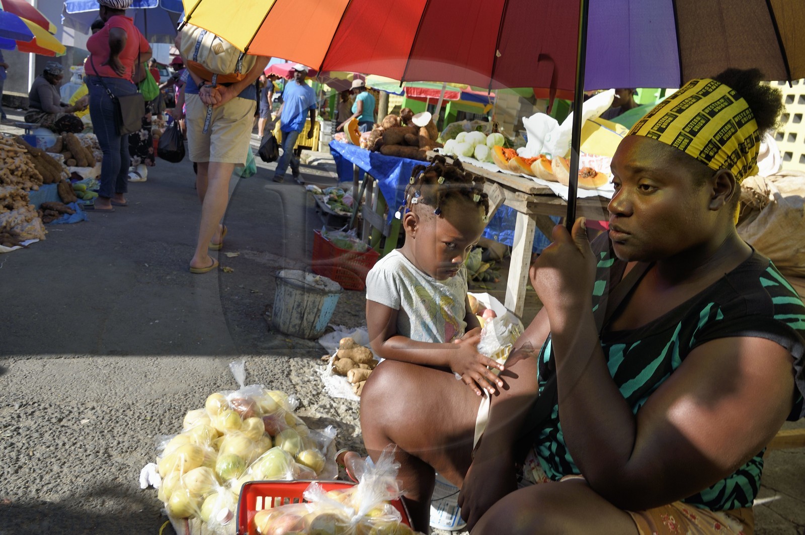 Caraïbes, Ile de la Dominique, la capitale Roseau, vente à l'étal de fruits et légumes aux abords du marché centrale