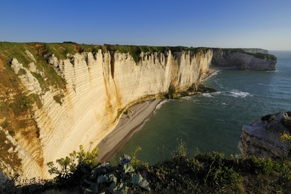 France, Seine-Maritime (76), Pays de Caux, Côte d'Albâtre, Etretat, la falaise au sud de la Manneporte