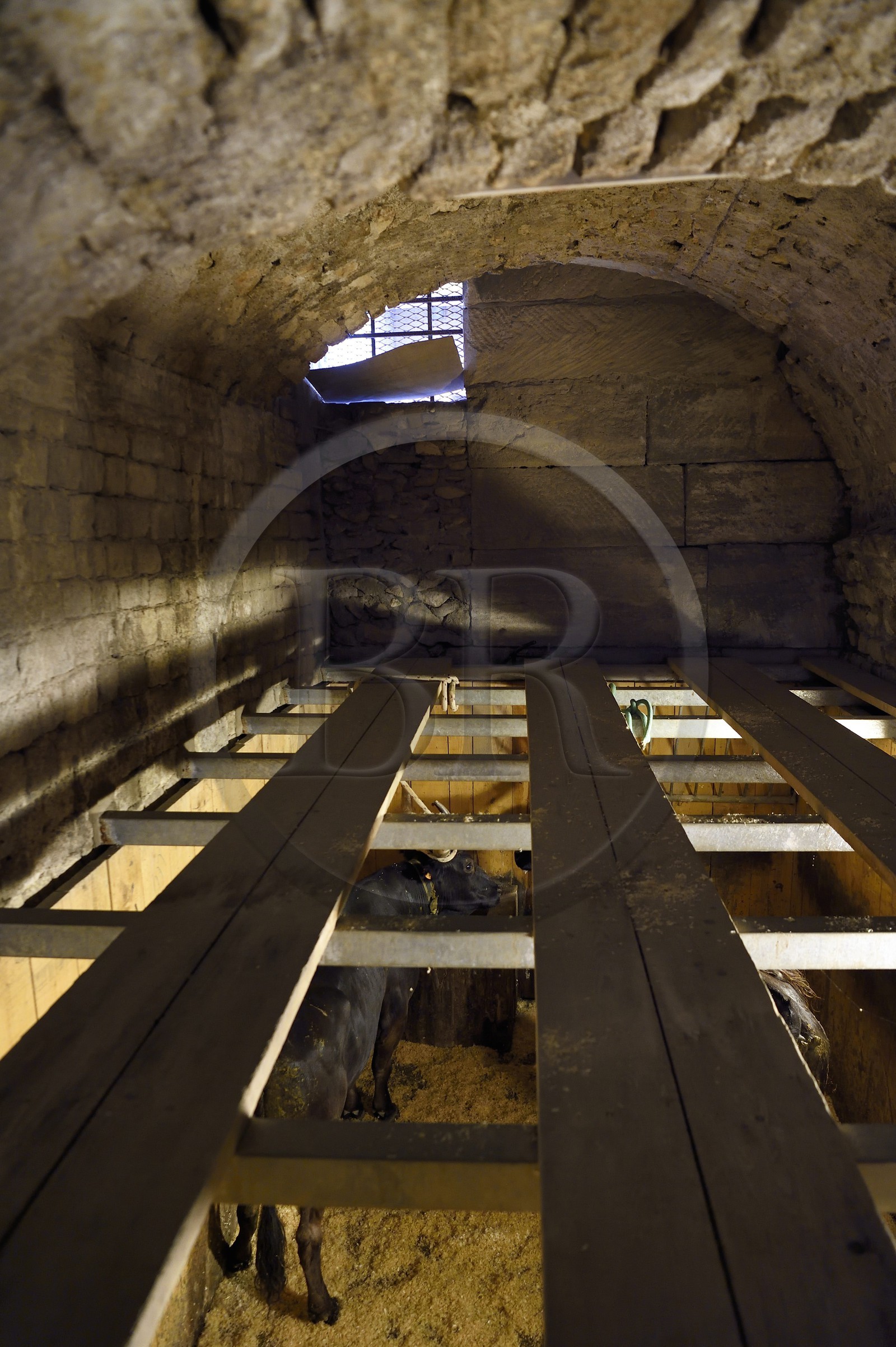 France, Bouches du Rhone, Arles, the Arenas, Roman Amphitheatre 80-90 AD, Historical monument, listed as World Heritage by UNESCO, bulls in the toril located under the stands
