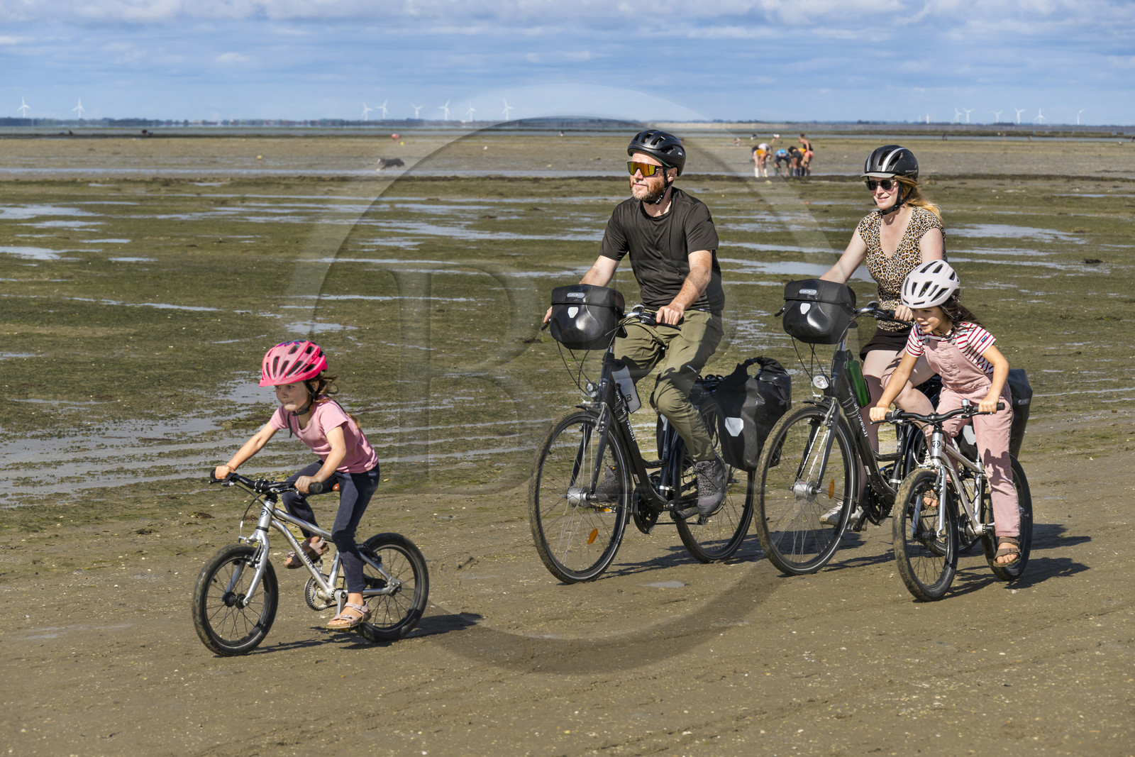 France, Vendée (85), île de Noirmoutier, Barbatre, famille de cyclistes sur l'estran en bordure du passage du Gois, chaussée submersible qui relie l'île au continent à marrée basse