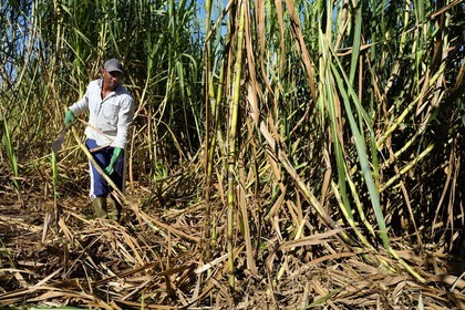 France, Ile de la Reunion, Petite-Ile,