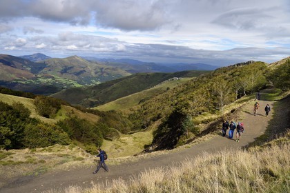 France, Pyrenees Atlantiques, Basque Country, Camino de Santiago (the Way of St. James) on the GR 65 between Saint Jean Pied de Port and Roncesvalles, pilgrims on the slopes of the Leizar Atheka and the Valley of Luzaide in Navarre in the background